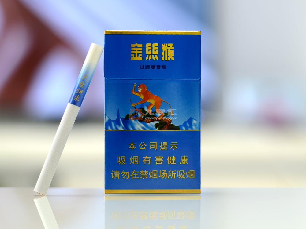 好猫金丝猴图片