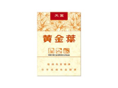 黄金叶天叶短支图片